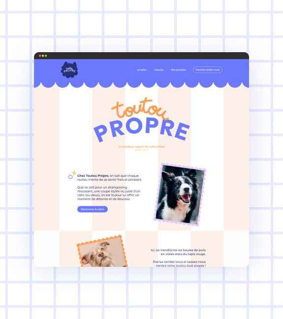 Webdesign Toutou Propre, par Turbo Polish, agence dedesign à Nantes