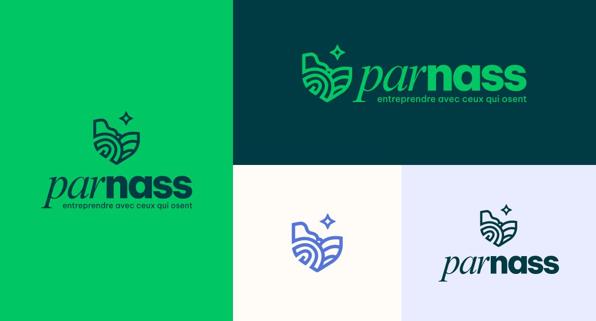 Parnass - Turbo Polish - présentation du logo dans plusieurs formats et couleurs